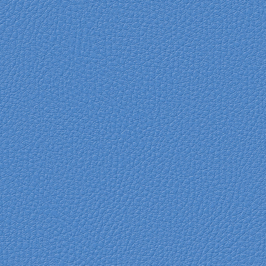 Blue - Lychee Pattern