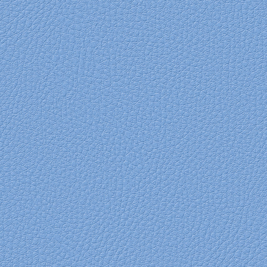 Light Blue - Lychee Pattern