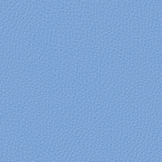 Light Blue - Lychee Pattern